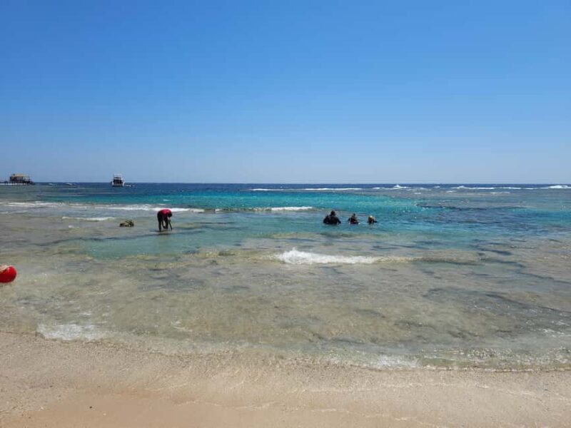 El Quseir: Red Sea Diving - Reefs, Caves & Marine Wildlife - An In-Depth Look at the Experience