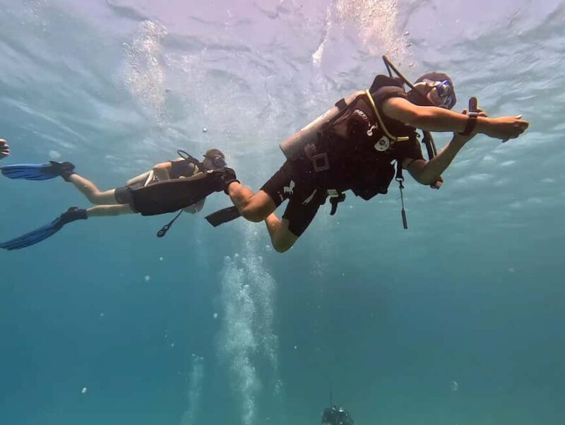 El Quseir: Red Sea Diving - Reefs, Caves & Marine Wildlife - Final Thoughts