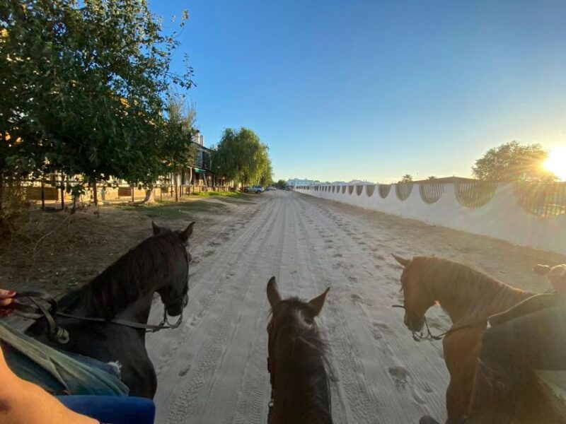 el-rocio-donana-national-park-horseback-riding-tour