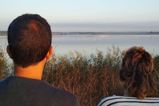 el-rocio-donana-natural-park-and-matalascanas-beach-day-trip-from-seville