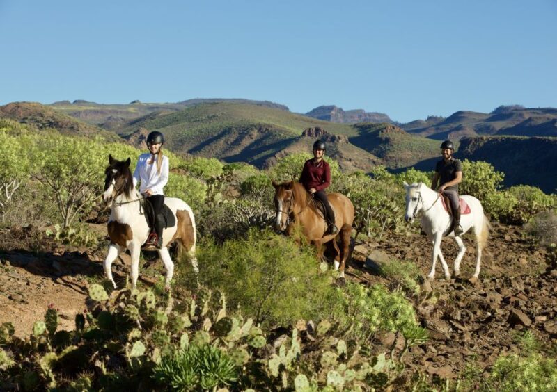 El Salobre: Horse Riding Adventure with Transfer Options - Key Points