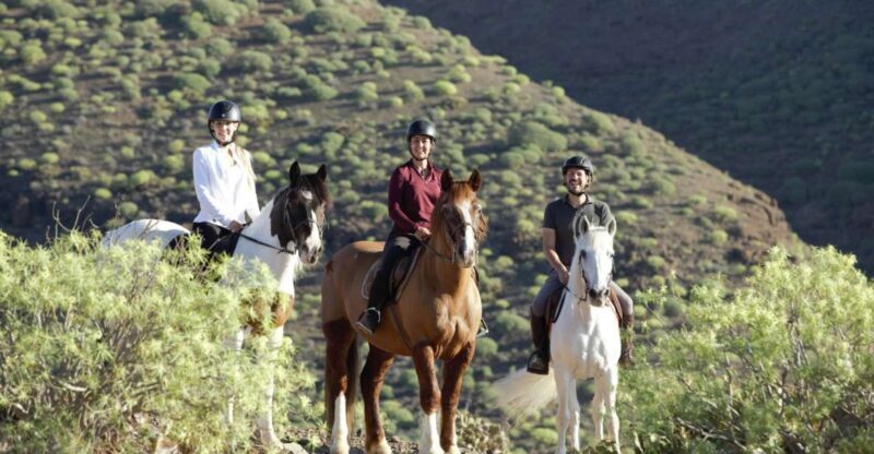 El Salobre: Horse Riding Adventure with Transfer Options - Who Should Consider This Tour?