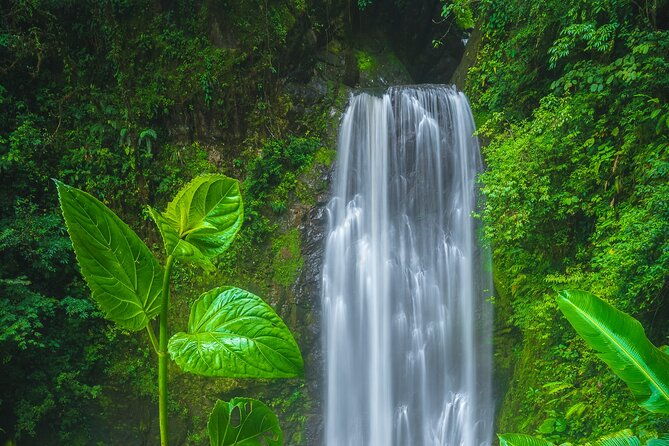 el-tigre-waterfalls-hiking-tour-with-lunch-and-nature-guide