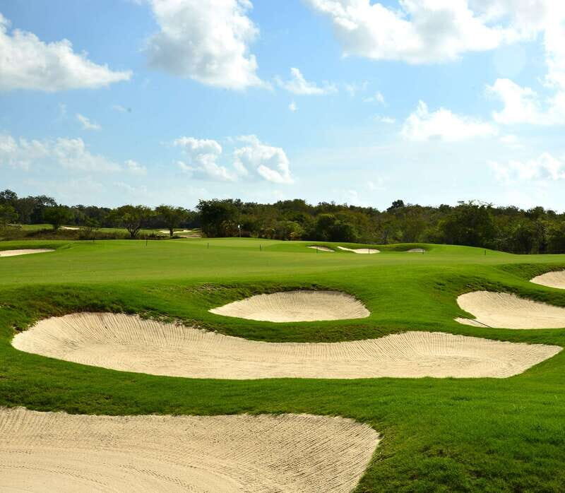El tinto Golf Course | Tee time in Cancun - Who Should Consider This Experience?