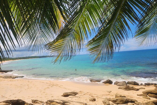 el-yunque-beach-tour-waterslide-waterfall-food-photos