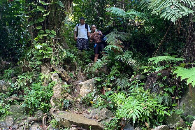 el-yunque-guided-waterfall-experience-with-transport