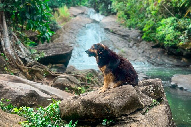 el-yunque-hike-waterslide-beach-cuisine-with-transport