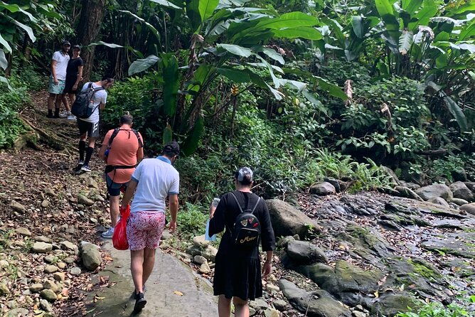 el-yunque-national-forest-and-luquillo-beach-combo