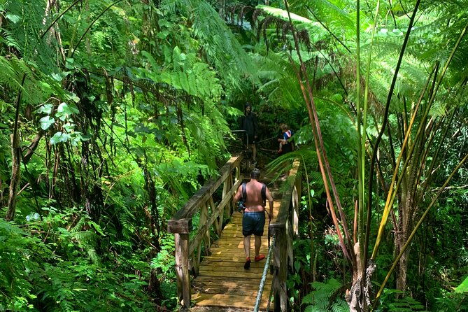 el-yunque-national-forest-and-luquillo-beach-combo