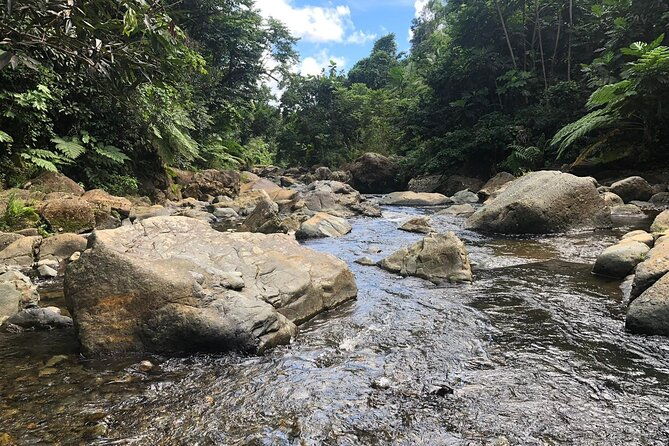 el-yunque-national-forest-and-luquillo-beach-combo