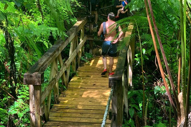 el-yunque-national-forest-and-luquillo-beach-tour
