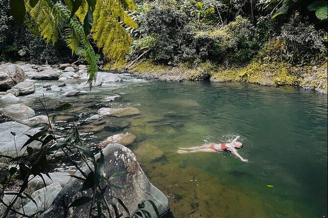 el-yunque-national-forest-guided-tour-with-transport