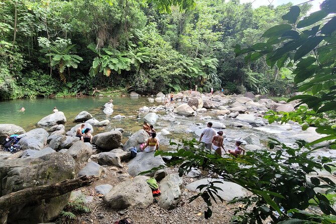 el-yunque-national-forest-the-road-191-corridor-half-day-tour