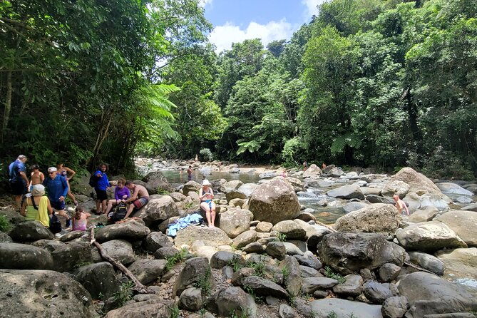 el-yunque-national-forest-the-road-191-corridor-half-day-tour