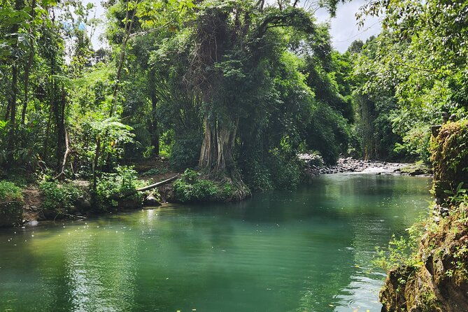 el-yunque-national-rainforest-and-luquillo-beach-tour