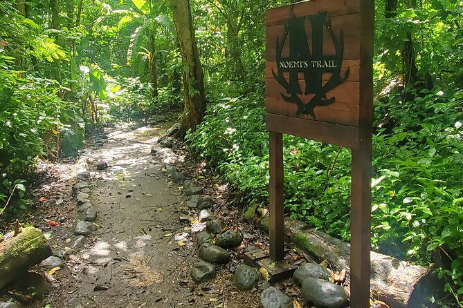 el-yunque-national-rainforest-and-luquillo-beach-tour