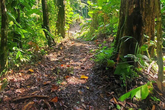 el-yunque-national-rainforest-and-luquillo-beach-tour