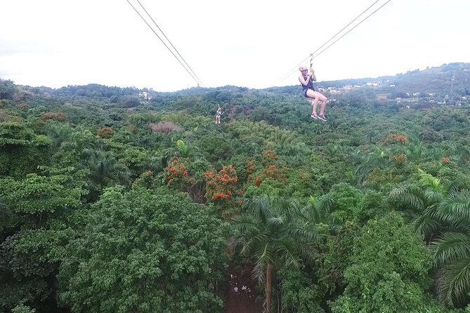el-yunque-rainforest-and-zipline-canopy-combo-tour