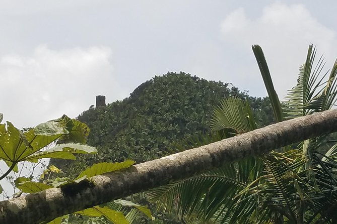 el-yunque-rainforest-full-day-private-tour