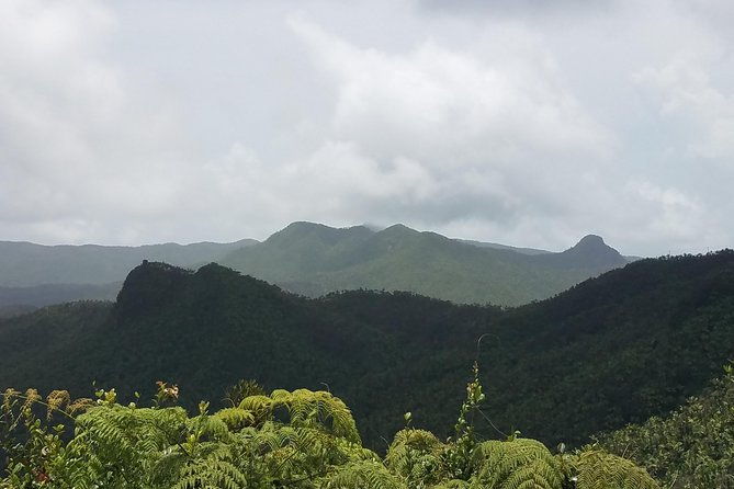 el-yunque-rainforest-full-day-private-tour
