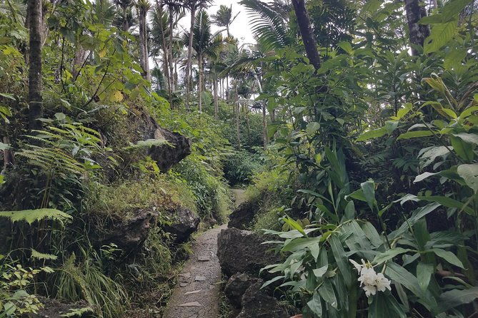 el-yunque-rainforest-full-day-private-tour
