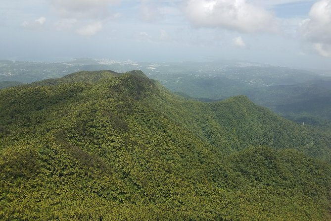 el-yunque-rainforest-full-day-private-tour