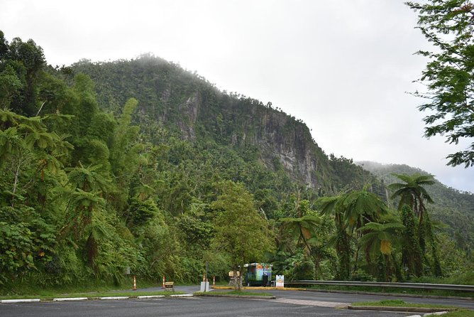 el-yunque-rainforest-guided-day-tour-from-san-juan