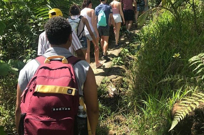 el-yunque-rainforest-guided-day-tour-from-san-juan