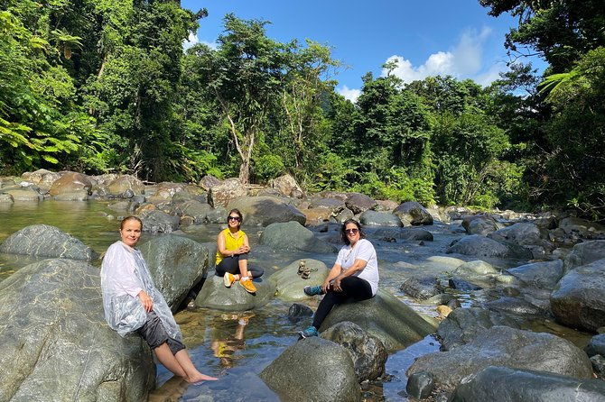 el-yunque-rainforest-guided-day-tour-from-san-juan