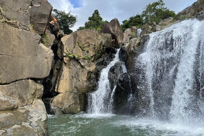 el-yunque-rainforest-hike-and-luquillo-beach-tour