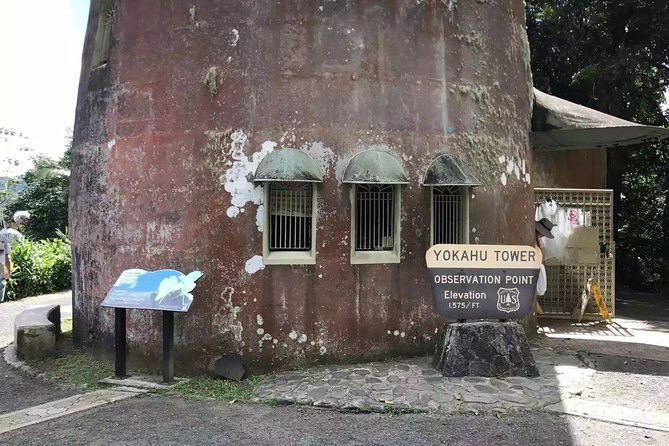 el-yunque-rainforest-hiking-tour-from-san-juan