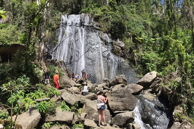 el-yunque-rainforest-hiking-tour-from-san-juan