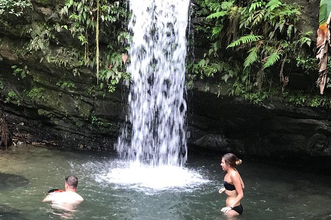 el-yunque-rainforest-hiking-tour-from-san-juan
