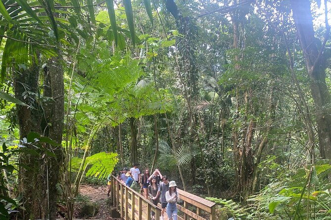 el-yunque-rainforest-hiking-tour-from-san-juan