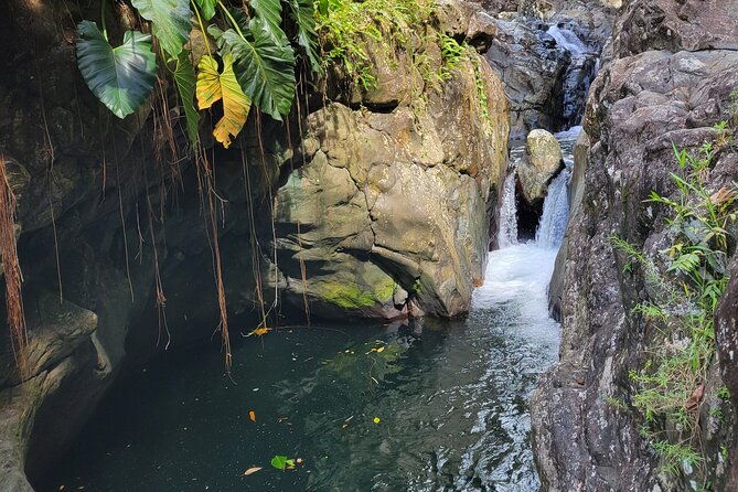 el-yunque-rainforest-luquillo-kiosk-day-trip