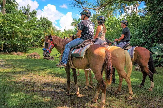 el-yunque-rainforest-puerto-rico-horseback-riding