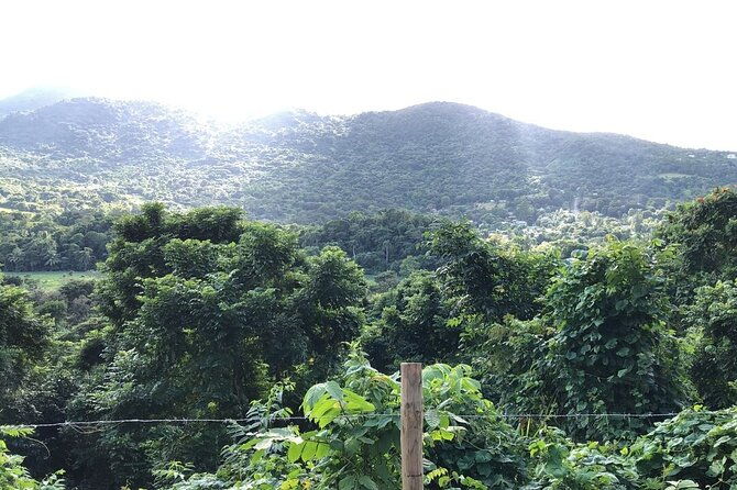 el-yunque-rainforest-puerto-rico-horseback-riding