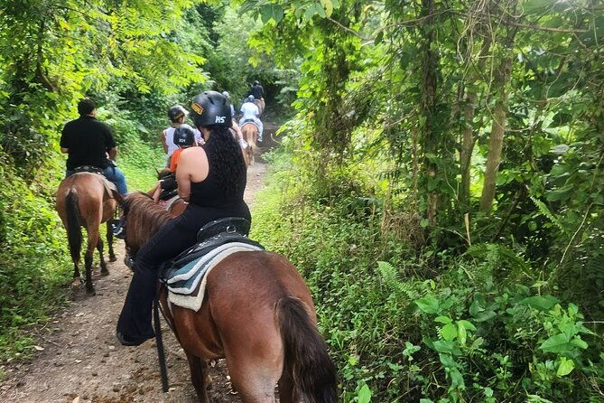 el-yunque-rainforest-puerto-rico-horseback-riding