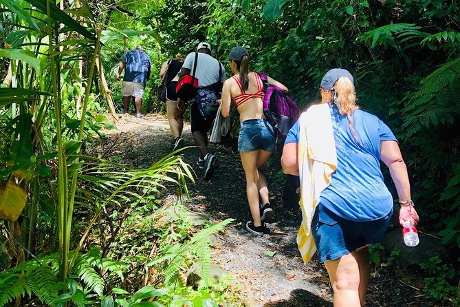 el-yunque-rainforest-tour-with-waterslides-and-beach