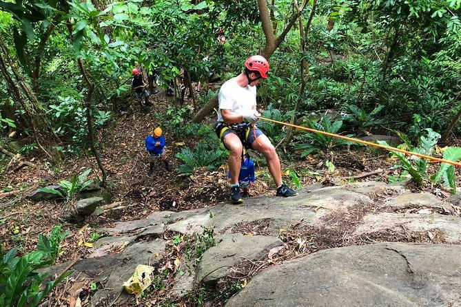 el-yunque-ziplining-in-puerto-rico