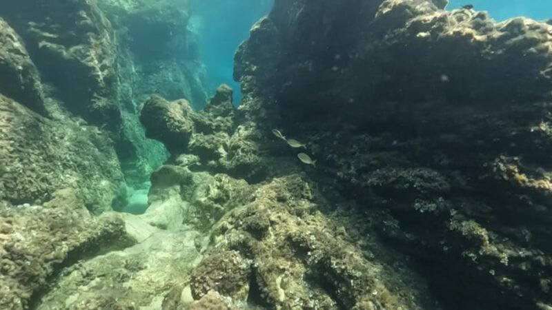 elafiti-caves-beaches-ancient-places-fun-in-5h-trip