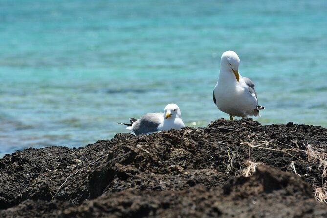 elafonisi-beach-welcome-to-paradise-from-rethymnon-2