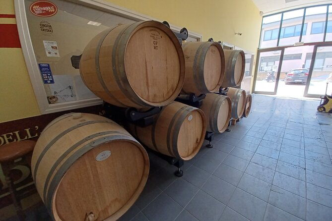 elba-bike-tour-with-beer-tasting-from-portoferraio