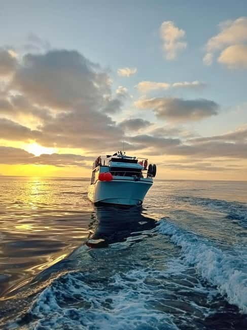 Elba fishing tourism: fishing demonstration with tasting of the catch - Final Thoughts