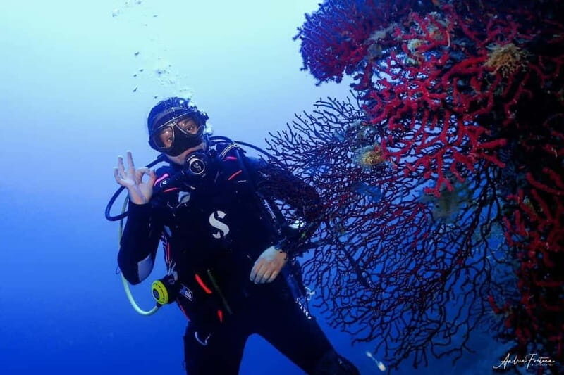 Elba Island: Double Dive with Instructor and Snacks - The Logistics: What’s Included and What to Bring