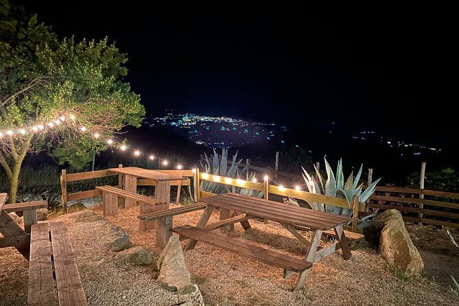 elba-island-farmhouse-tasting-experience