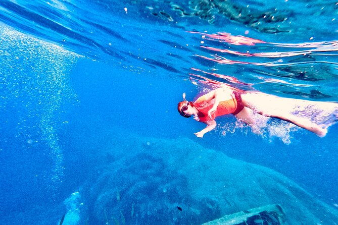 elba-island-full-day-sea-kayak-tour