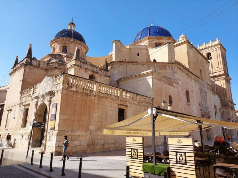 elche-walking-tour-through-the-historic-center-and-botanical-garden-huerto-de-cura