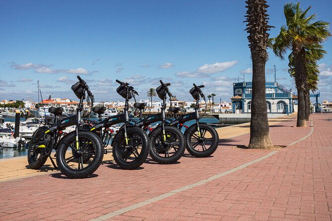 electric-bicycle-rental-in-huelva