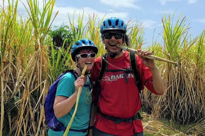 electric-bike-bajan-sightseeing-experience-transport-included